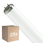 Fordelspakke 25x Philips T8 Flexo print 40W | 60cm - UVA